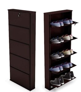 Alloy Steel 5 Door Shoe Rack 