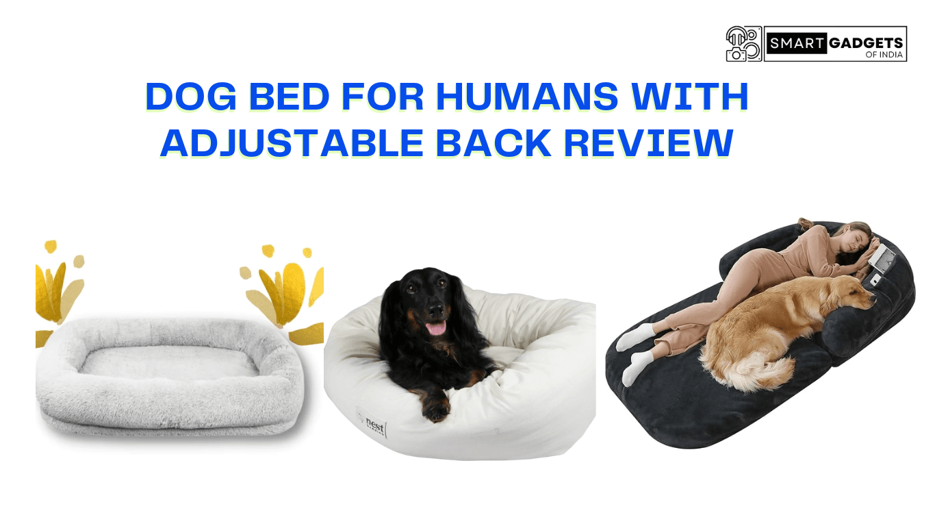 Dog Bed for Human With Adjustable Back